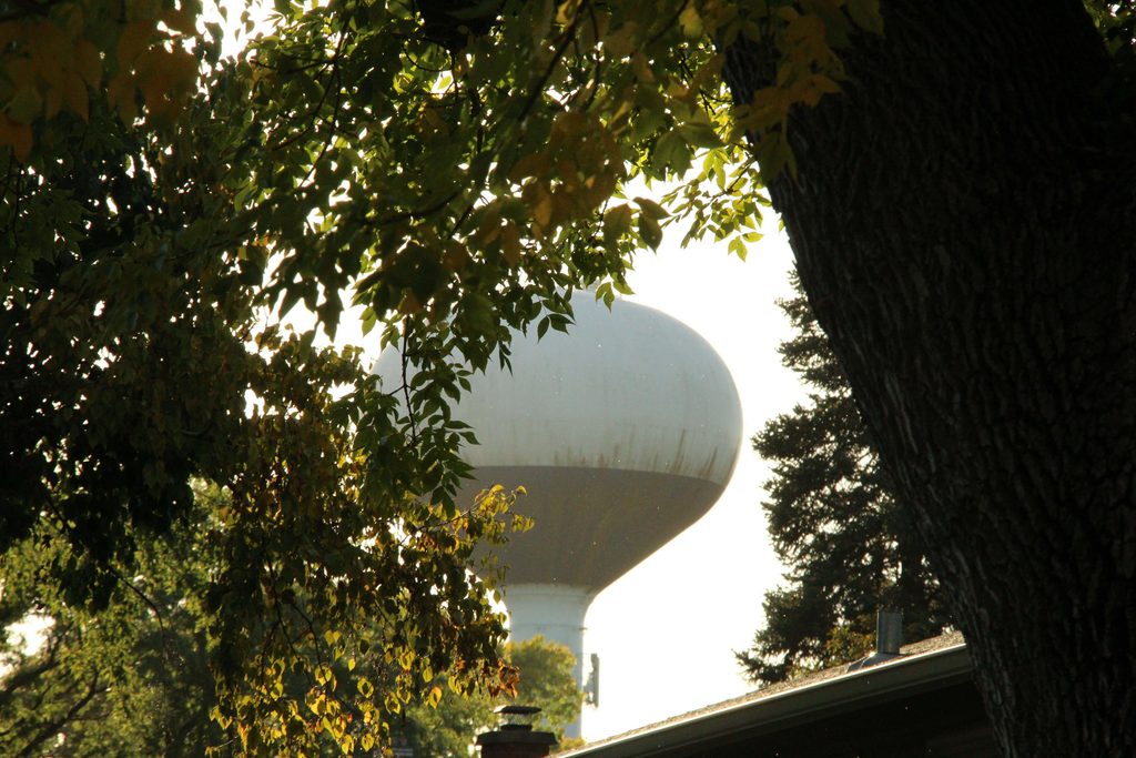 Photo of water tower through trees.